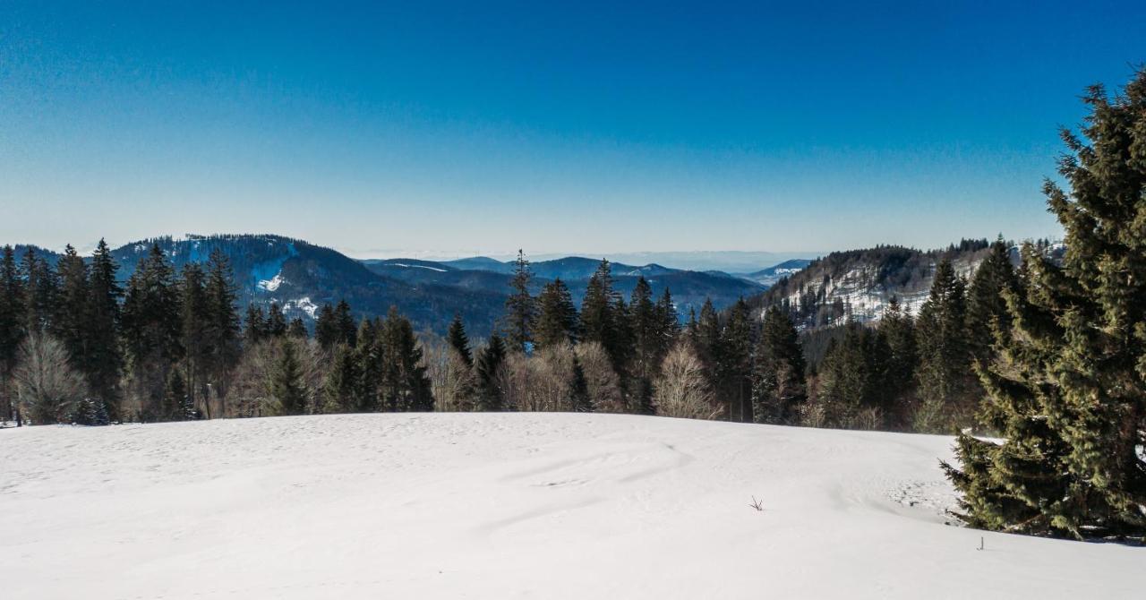 Berggasthof Zur Todtnauer Huette Feldberg  Extérieur photo