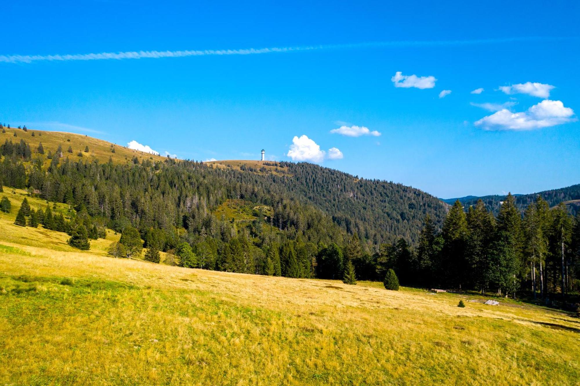 Berggasthof Zur Todtnauer Huette Feldberg  Extérieur photo